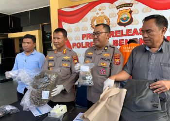Bekuk 3 Pengedar Narkoba, Polresta Bengkulu Sita Hampir 2 Kilogram Ganja dan Sabu