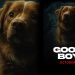 Film Good Boy 2025, Teror Rumah Tua dari Perspektif Anjing