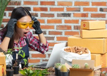 Kesalahan yang Harus Dihindari Pemula Saat Memulai Usaha Digital