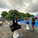 Ayo Saksikan! Kontes Bonsai Warnai Ulang Tahun Rakyat Bengkulu ke-24