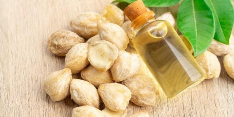 Manfaat Kemiri untuk Rambut Sehat dan Kuat Alami, Tanpa Efek Samping