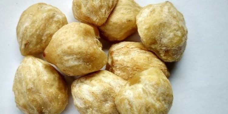 Tips Memilih Kemiri Berkualitas untuk Masakan dan Perawatan