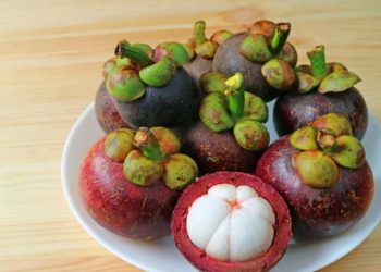 Mengapa Buah Manggis Dijuluki Ratu Buah? Simak Penjelasannya di Sini