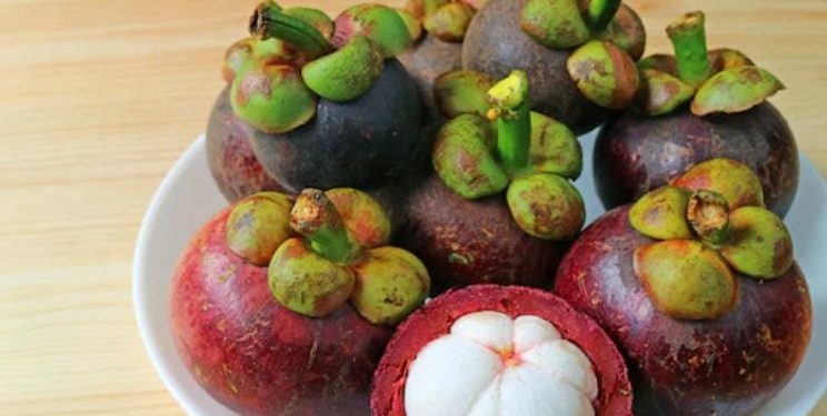 Mengapa Buah Manggis Dijuluki Ratu Buah? Simak Penjelasannya di Sini