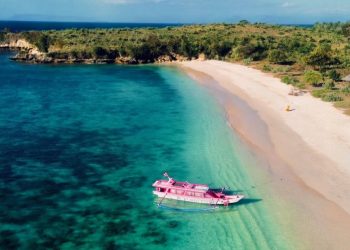 Pantai Pasir Pink Lombok, Surga Eksotis dengan Pasir Merah Muda yang Unik
