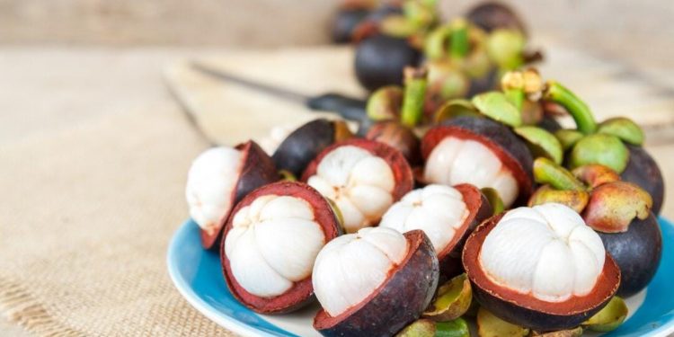 Bukan Limbah: Temukan Manfaat Kulit Manggis untuk Kesehatan Tubuh