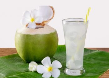 Air Kelapa vs Air Mineral: Mana yang Lebih Baik untuk Tubuh Anda?