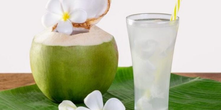 Air Kelapa vs Air Mineral: Mana yang Lebih Baik untuk Tubuh Anda?