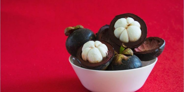 Mengenal Buah Manggis: Manfaat, Kandungan, dan Cara Mengonsumsinya yang Tepat