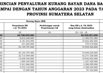 DBH Sumatera Selatan