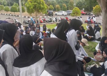 1.879 Honorer Mukomuko Diajukan Jadi PPPK, Nasib Ditentukan BKN