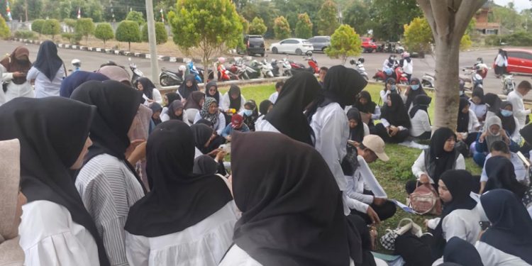 1.879 Honorer Mukomuko Diajukan Jadi PPPK, Nasib Ditentukan BKN