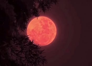 Fenomena Langka Blood Moon Hiasi Langit Indonesia 7 September 2025