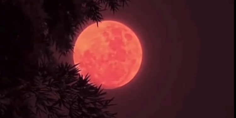 Fenomena Langka Blood Moon Hiasi Langit Indonesia 7 September 2025