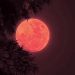 Fenomena Langka Blood Moon Hiasi Langit Indonesia 7 September 2025