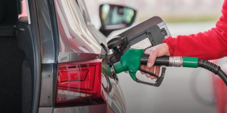 Cegah Krisis BBM, HPMPI Desak Pemerintah Fokus Atasi Pendangkalan Pelabuhan Bengkulu