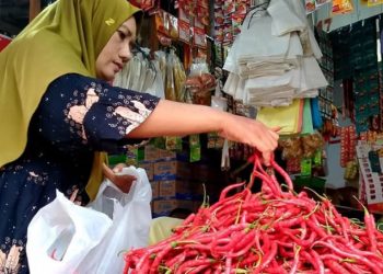 Harga Pangan Nasional Turun, Beras dan Cabai Jadi Sorotan