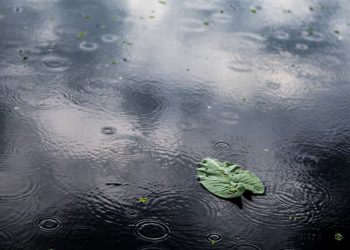 Bengkulu dan Sejumlah Kota Besar Diprediksi Hujan, BMKG Keluarkan Peringatan