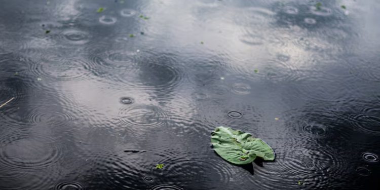 Bengkulu dan Sejumlah Kota Besar Diprediksi Hujan, BMKG Keluarkan Peringatan