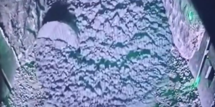 Lumpur Tutup Akses Evakuasi, Nasib 7 Pekerja Freeport Masih Terkurung