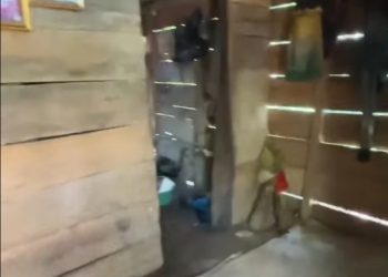 Balita di Seluma Muntahkan Cacing, Kondisi Rumah Keluarga Jadi Sorotan