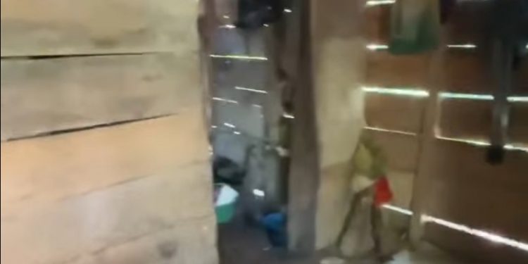 Balita di Seluma Muntahkan Cacing, Kondisi Rumah Keluarga Jadi Sorotan