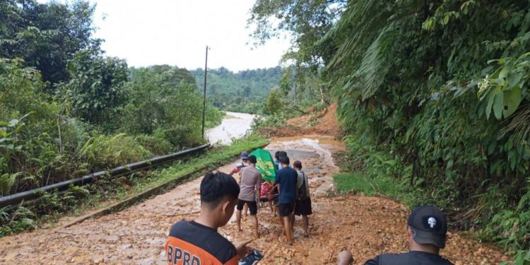 Banjir dan Longsor Lumpuhkan Bengkulu Selatan, 12 Titik Jalan Manna-Pagaralam Putus Total