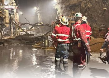 Tragedi Freeport: Dua Jenazah Ditemukan, Lima Pekerja Masih Dicari