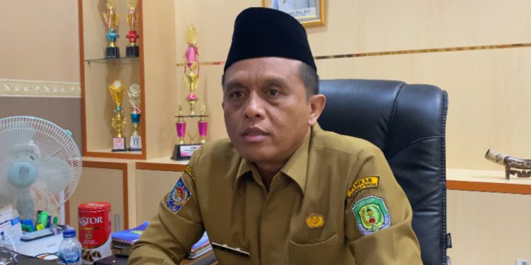 6 Mundur, 1 Hilang Jejak: 200 PPPK Bengkulu Tengah Lolos Pemberkasan