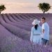 Pernikahan Bukan Karena Cinta? Begini Fakta Lavender Marriage