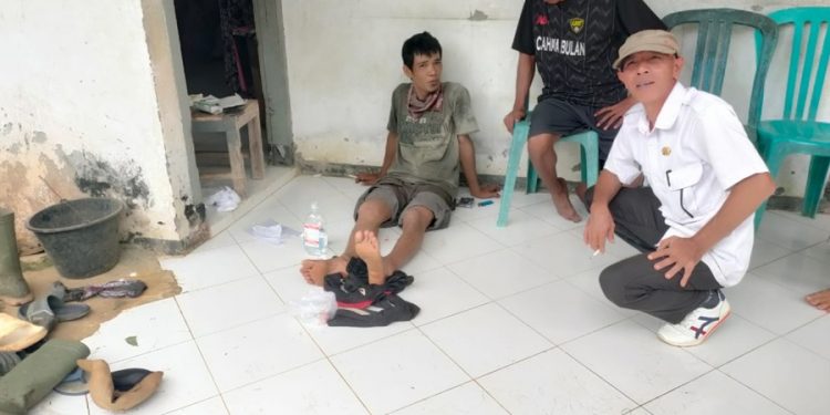 Kronologi Beruang Madu Terkam Petani Karet di Seluma, Langsung Lari ke Hutan