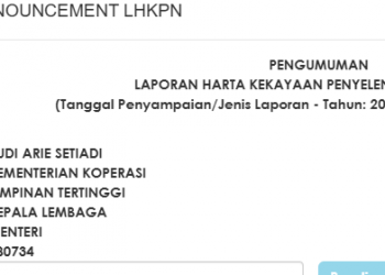 Eks Menteri Harta Budi Arie Setiadi Tembus Rp103,8 M di 2024
