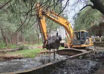 Walikota Dedy Benahi Pantai Panjang, Wisata Kian Menarik