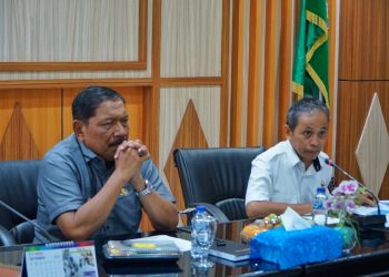 Wagub Mian Tekankan OPD Layani Tim BPK RI Optimal