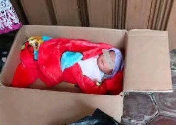 Geger di Kepahiang! Bayi Perempuan Dibuang dalam Kardus Saat Subuh, Ditemukan di Depan Rumah Warga