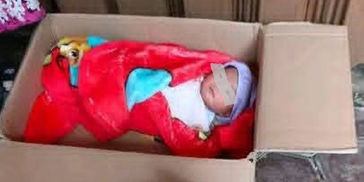 Geger di Kepahiang! Bayi Perempuan Dibuang dalam Kardus Saat Subuh, Ditemukan di Depan Rumah Warga