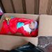 Geger di Kepahiang! Bayi Perempuan Dibuang dalam Kardus Saat Subuh, Ditemukan di Depan Rumah Warga