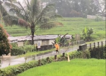 BMKG Ingatkan Potensi Cuaca Ekstrem, Hujan dan Petir Landa Sejumlah Wilayah Hari Ini