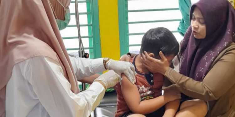 Kasus Gigitan Anjing Liar Terjadi Lagi di Bengkulu, Pemerintah Diminta Bertindak Cepat Kasus Rabies