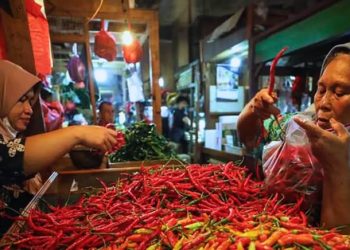 Bapanas Catat Penurunan Harga Pangan Nasional, Cabai dan Beras Turun Signifikan