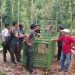 Jejak Beruang Madu Ditemukan di Kebun Warga Taba Penanjung, BKSDA Pasang Perangkap