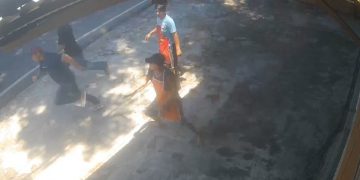 Ricuh di Tanah Patah! Debt Collector Dibacok Saat Hendak Menarik Mobil, Polisi Turun Tangan