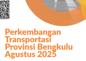 Kapal Turun Tajam, Tapi Angkutan Laut Bengkulu Naik!