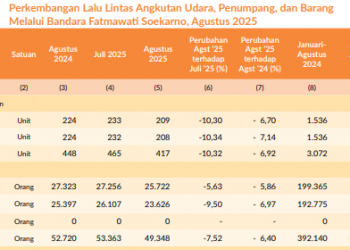 BPS: Penerbangan Bengkulu Lesu, Tapi Kargo Udara Tumbuh