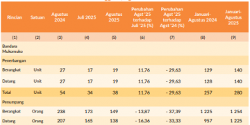Penerbangan Naik di Mukomuko, Penumpang Enggano Melonjak