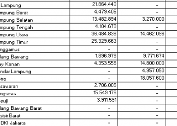 Sebagian Daerah di Lampung Tak Kebagian DAK Fisik 2026