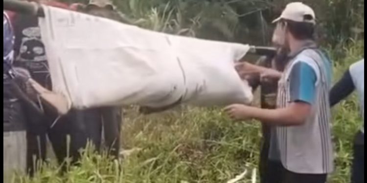 Musibah KKN UIN Walisongo di Kendal: Tiga Mahasiswa Meninggal Dunia, 3 Lain Masih Dicari