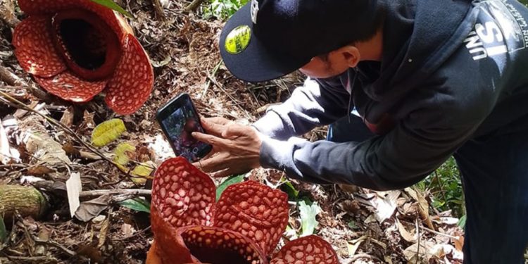 Villarreal Melesat ke Papan Atas, Espanyol Tersungkur di Kandang Sendiri