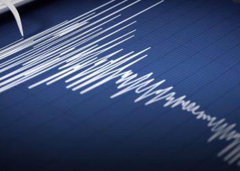 Gempa M 5,2 Guncang Tanimbar, Tidak Berpotensi Tsunami