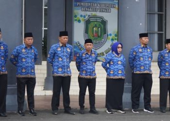 PPPK Bengkulu Tengah Resah Gaji November Belum Dibayar, BKD: Menunggu Dana Masuk Kasda